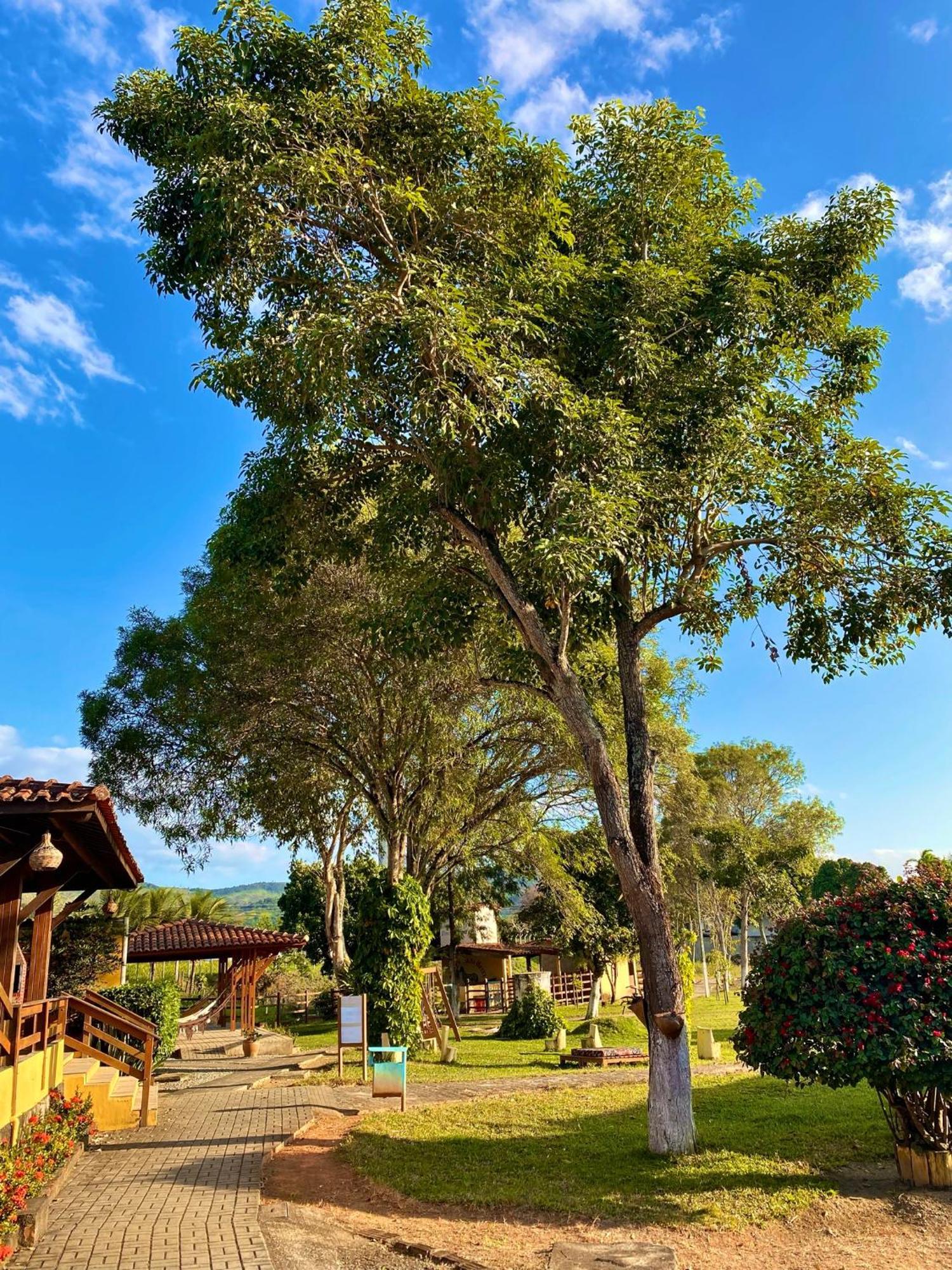 Bonito Plaza Hotel מראה חיצוני תמונה